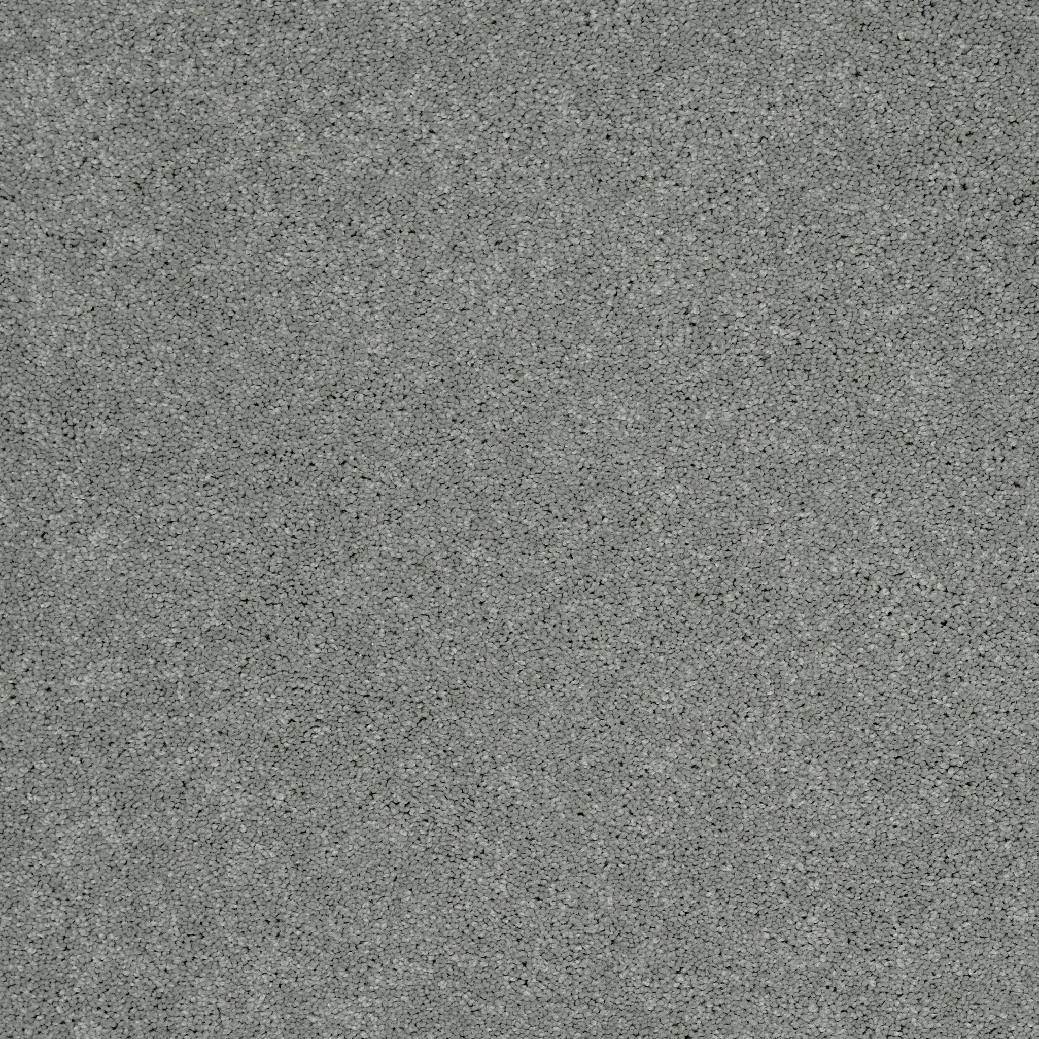 SHINGLE CREEK II 12' TROPICAL SURF MAIN