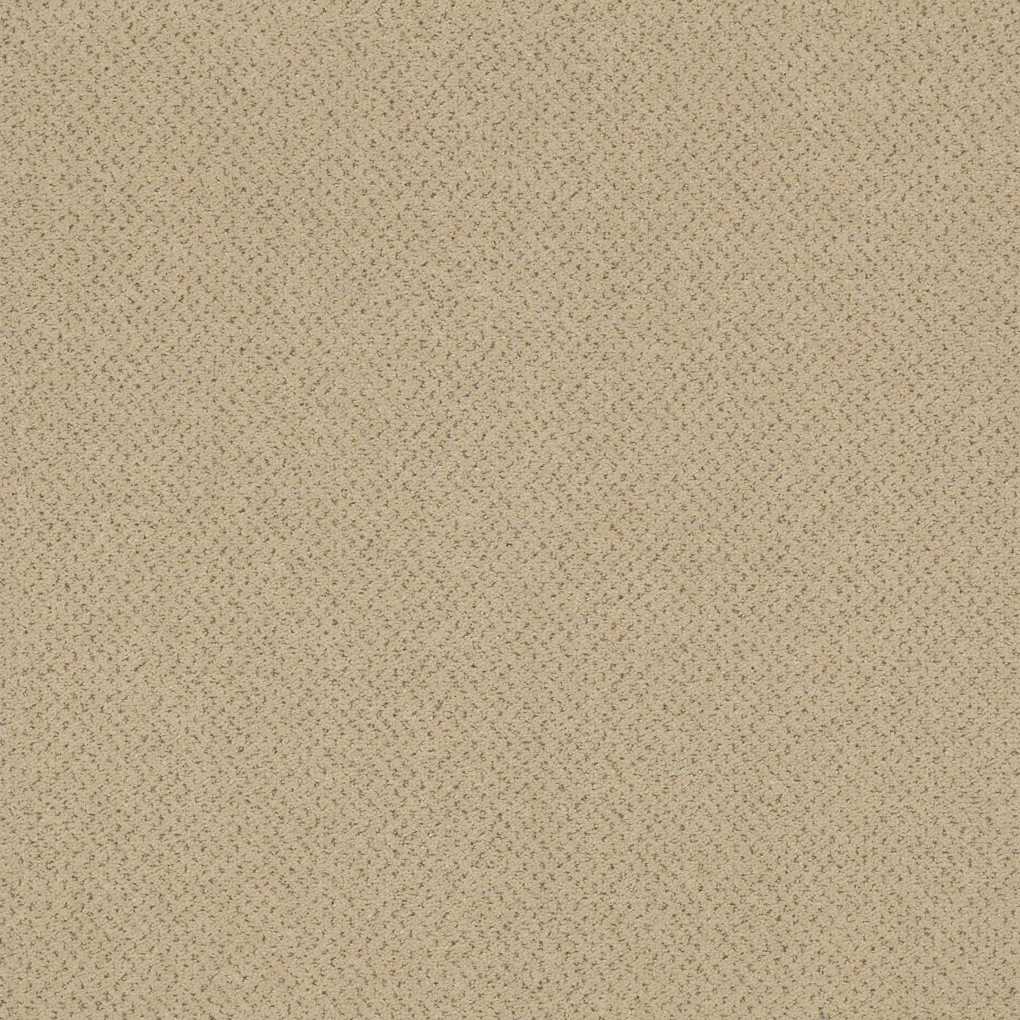 FUTURE-GENERATIONS-54644-GEN-Z-44101-main-image