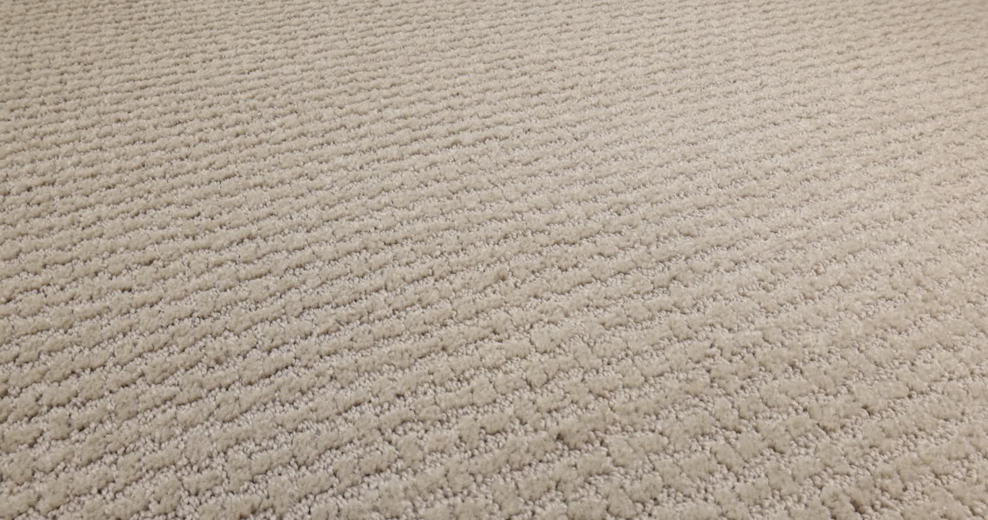 COMPLETE CONTROL PARK AVENUE 360PROD