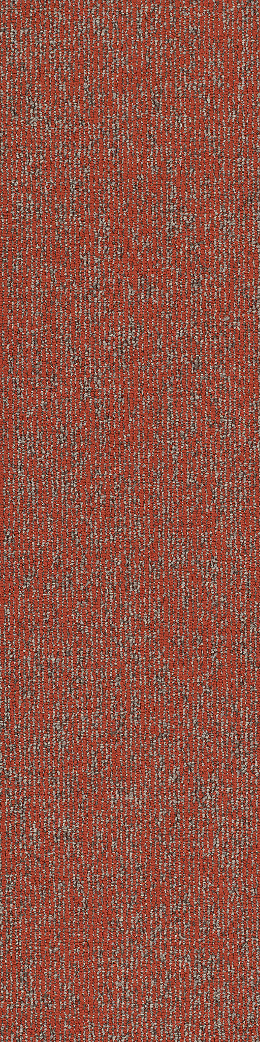 BASIN-54847-MIOMBO-00816-main-image