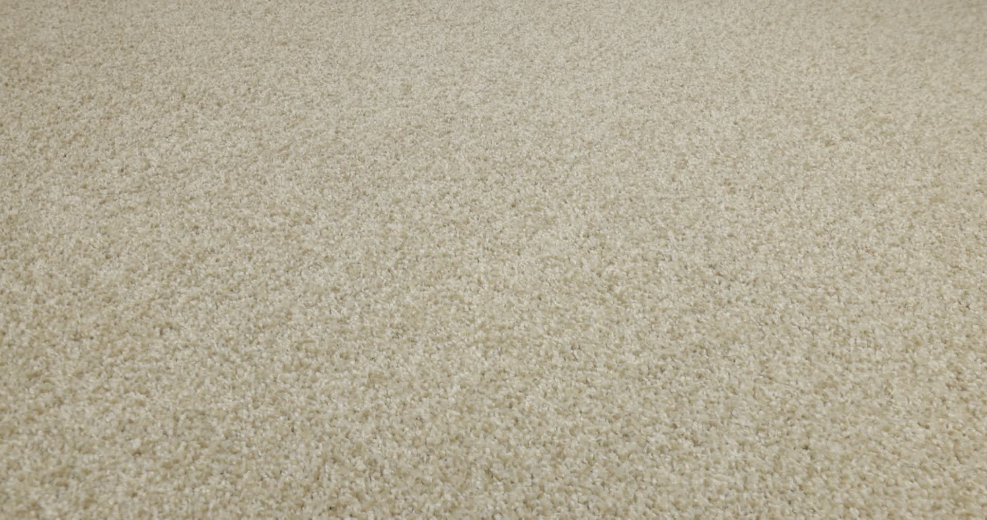 TONAL COMFORT I SUN KISSED 360PROD