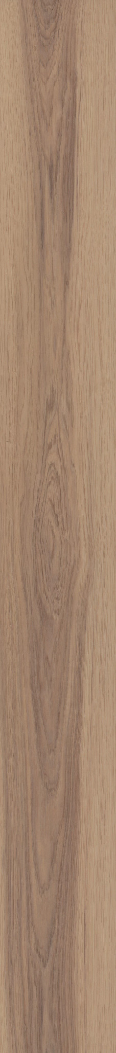 MALTESE RATTAN HICKORY 1TO1