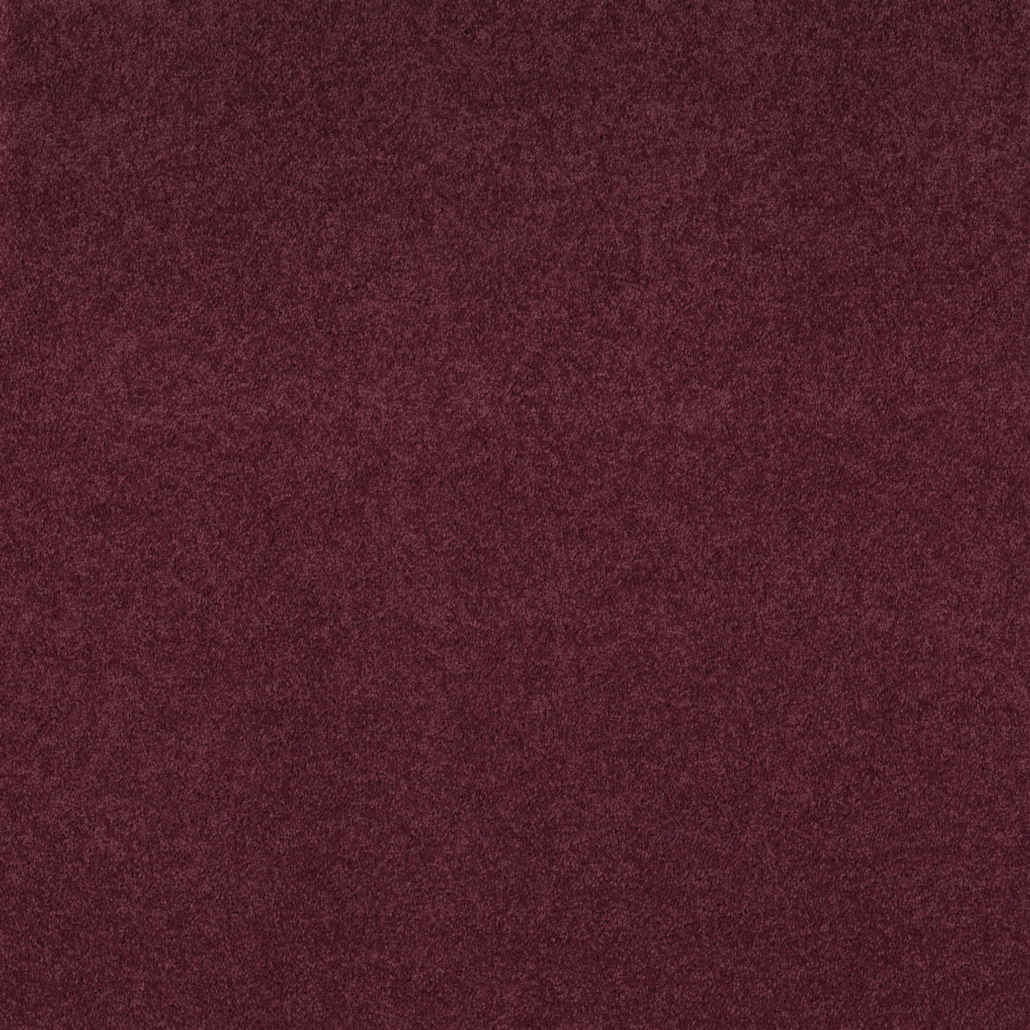 DYERSBURG CLASSIC 12' RADIANT ORCHID MAIN