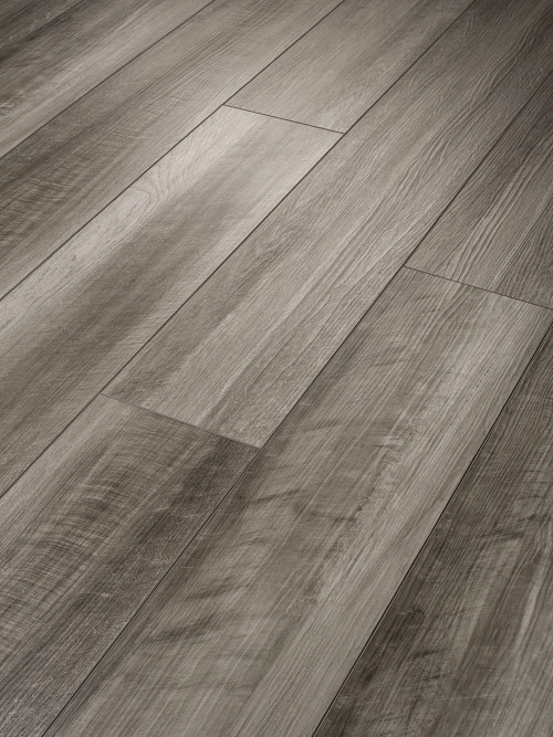 Oyster Oak