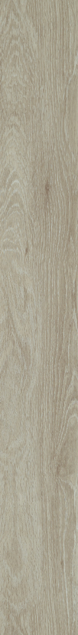IN-THE-GRAIN-II-5.0-5603V-SPELT-00775-main-image