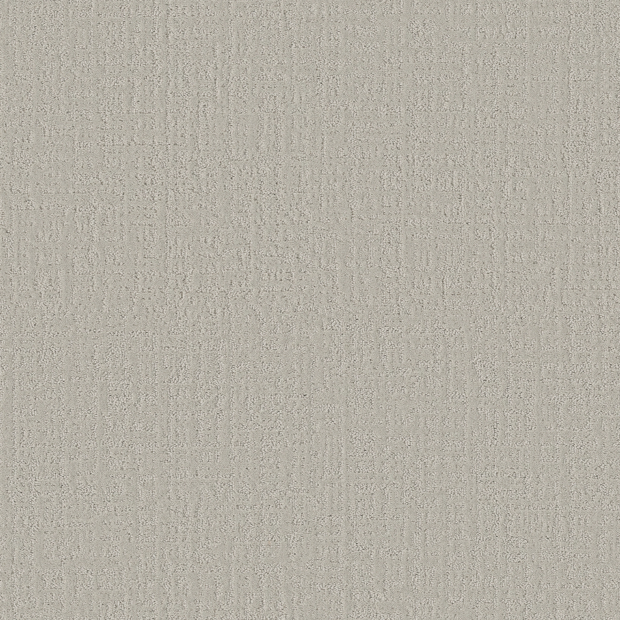 STUDIO PLAZA FOREST FOG MAIN