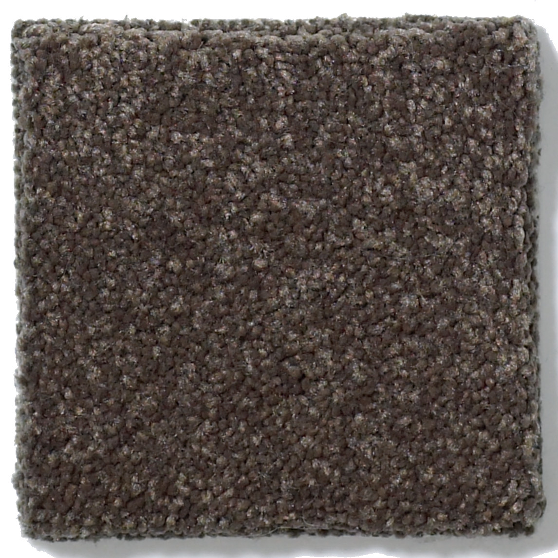 SHINGLE CREEK I 12 ARROWHEAD SWATCH