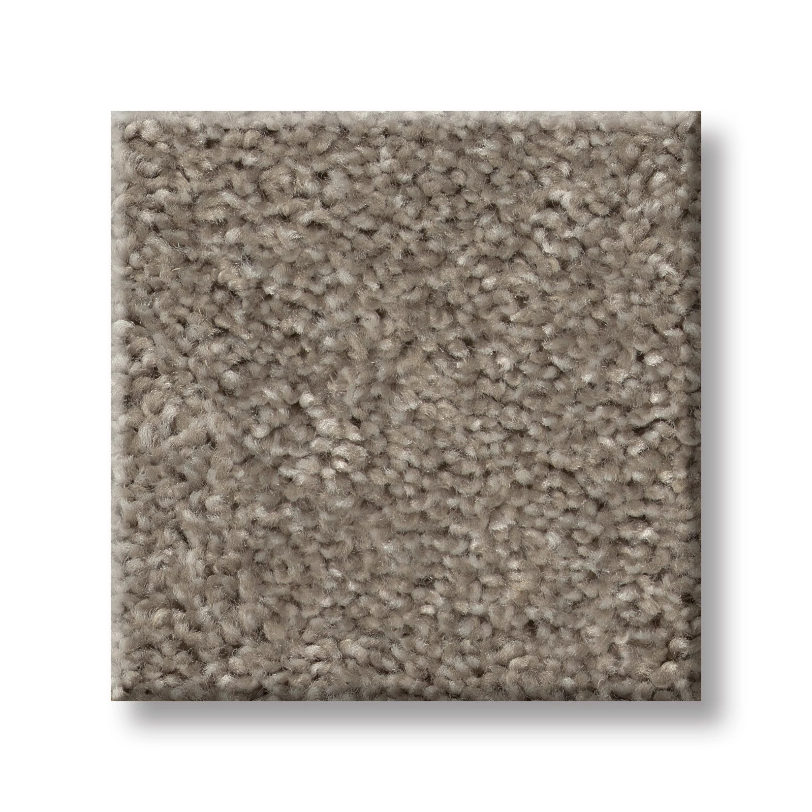 HOT TOPIC STUDIO LOFT SWATCH