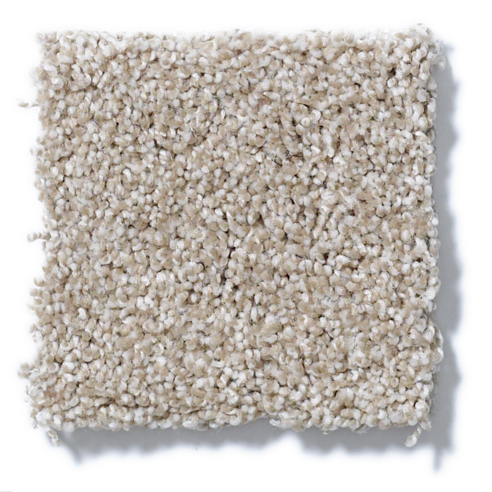 ALWAYS READY I BISCOTTI SWATCH