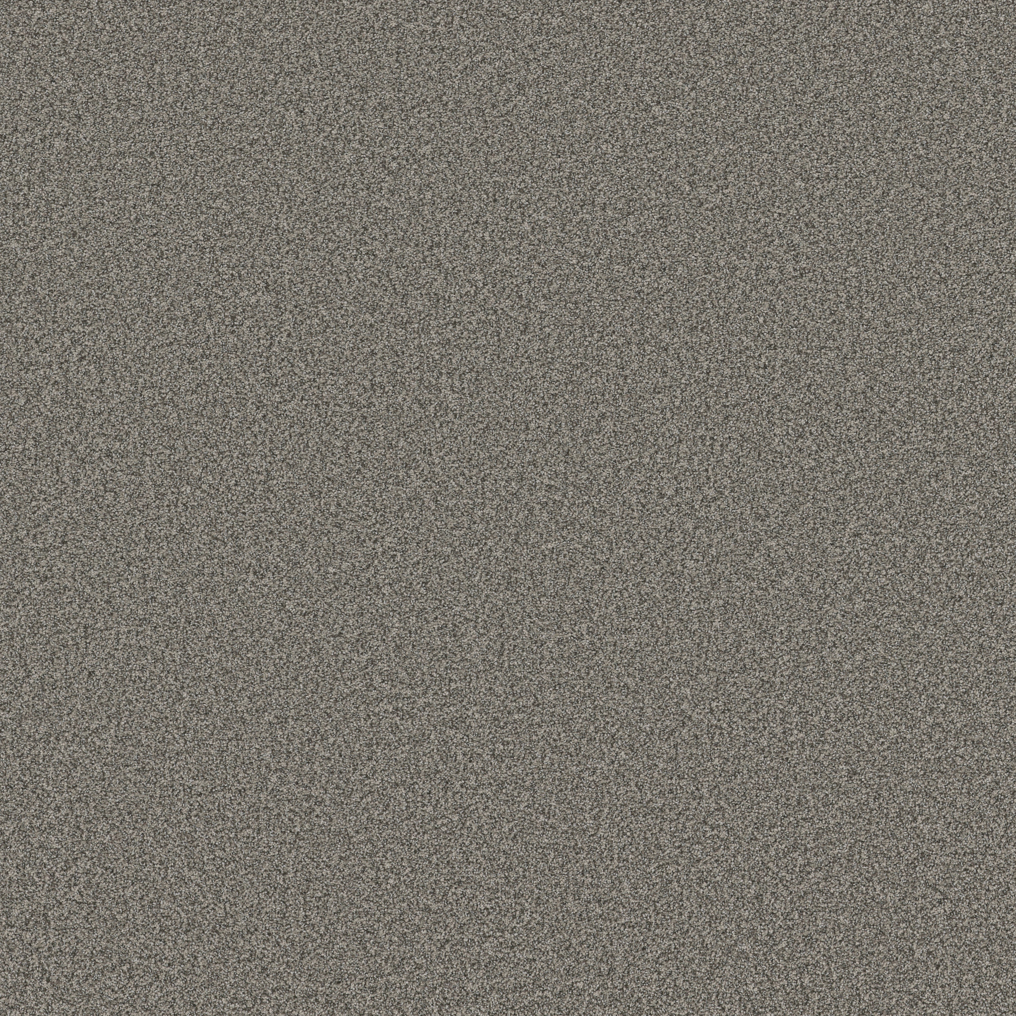 FABULOUS FLANNEL GRAY MAIN