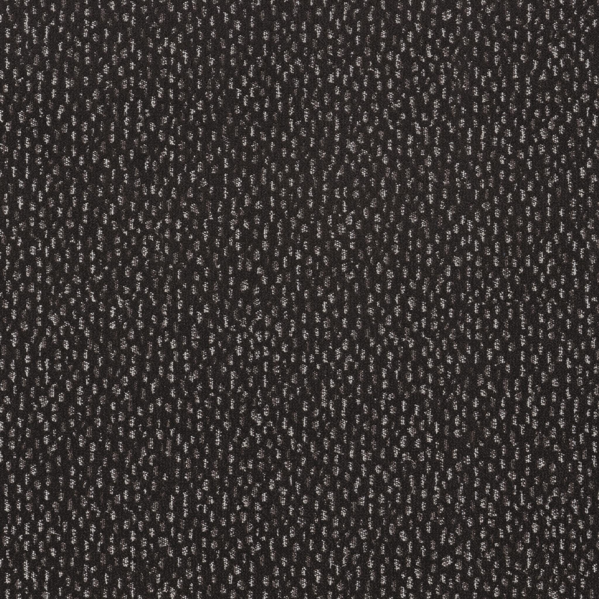 Ambitious in Charcoals