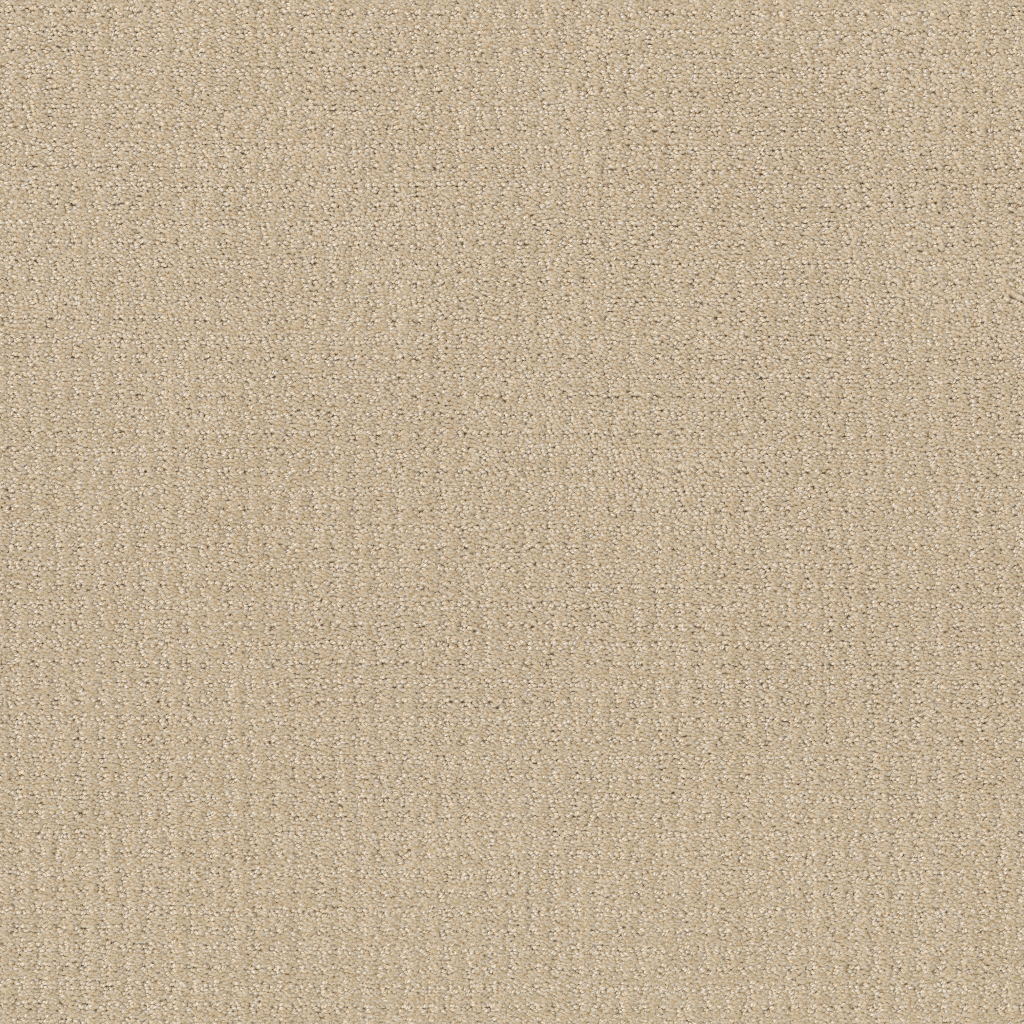 TRANSLATE CANDLE GLOW MAIN