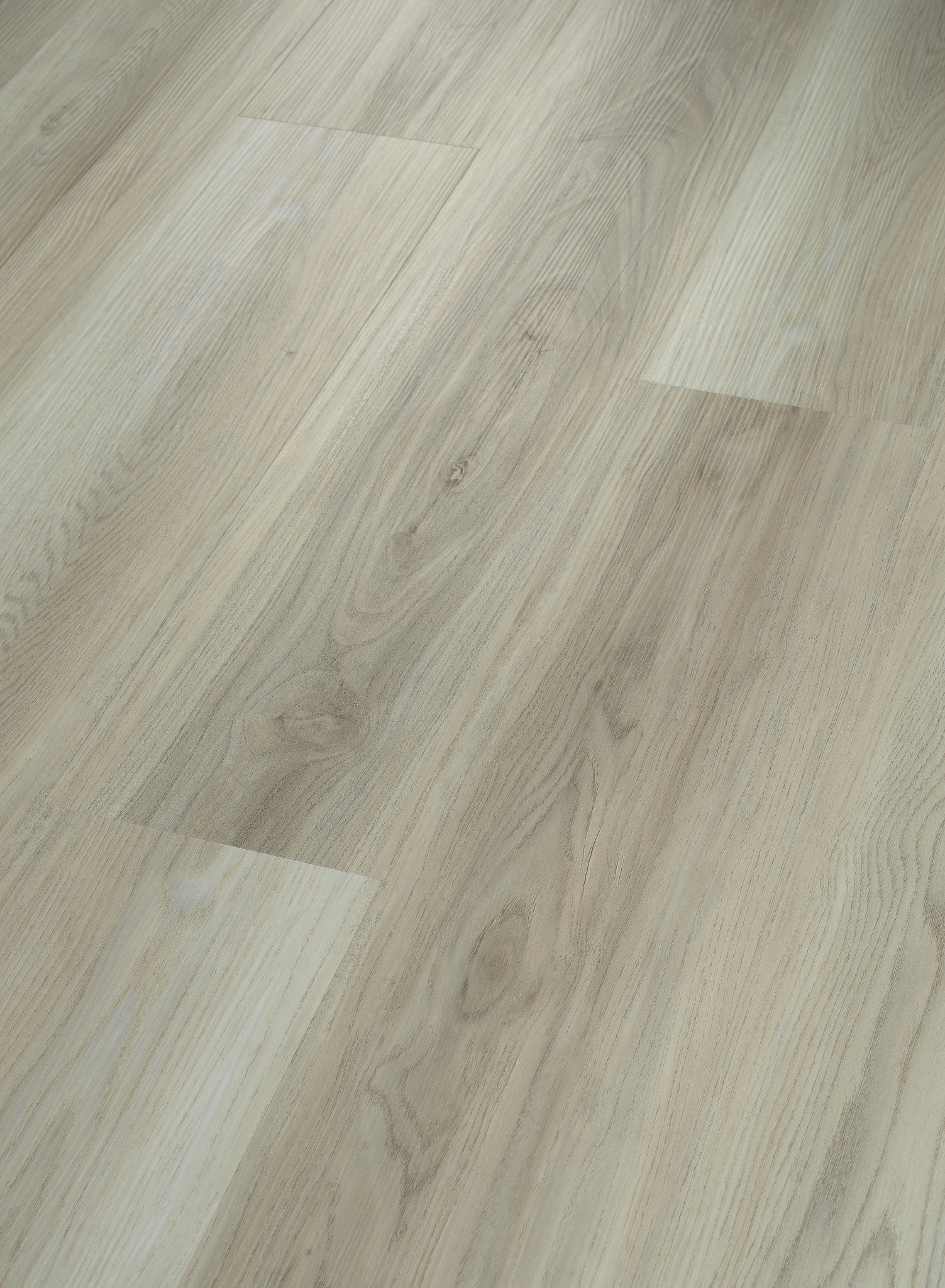 PARAMOUNT 512C PLUS 509SA 05091 Shaw Floors