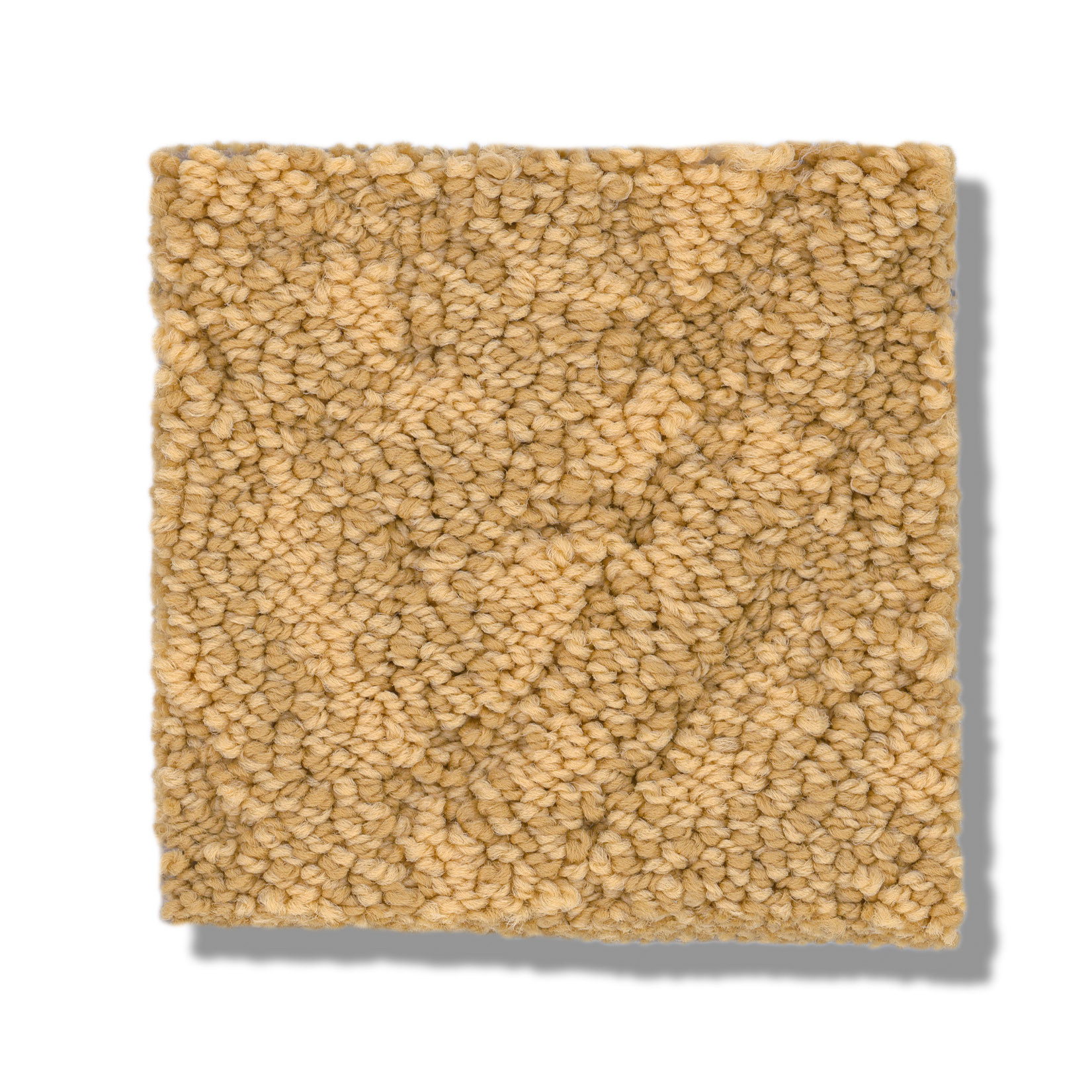 LAVISH LIVING TURMERIC SWATCH