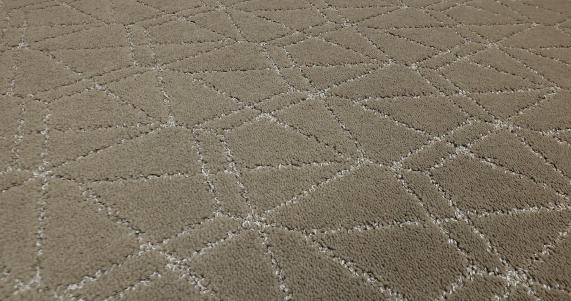 POINT OF VIEW CAMEO 360PROD