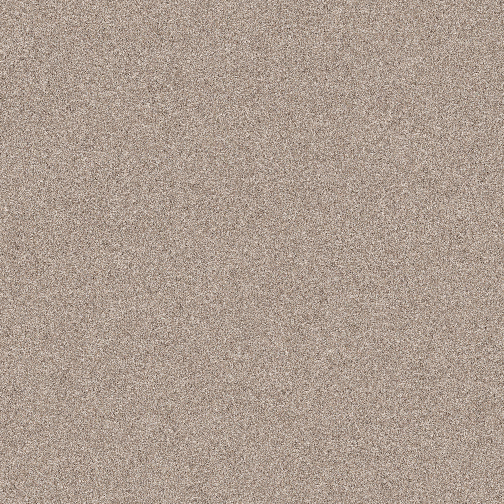 VIVID TOUCH I BAJA MAIN