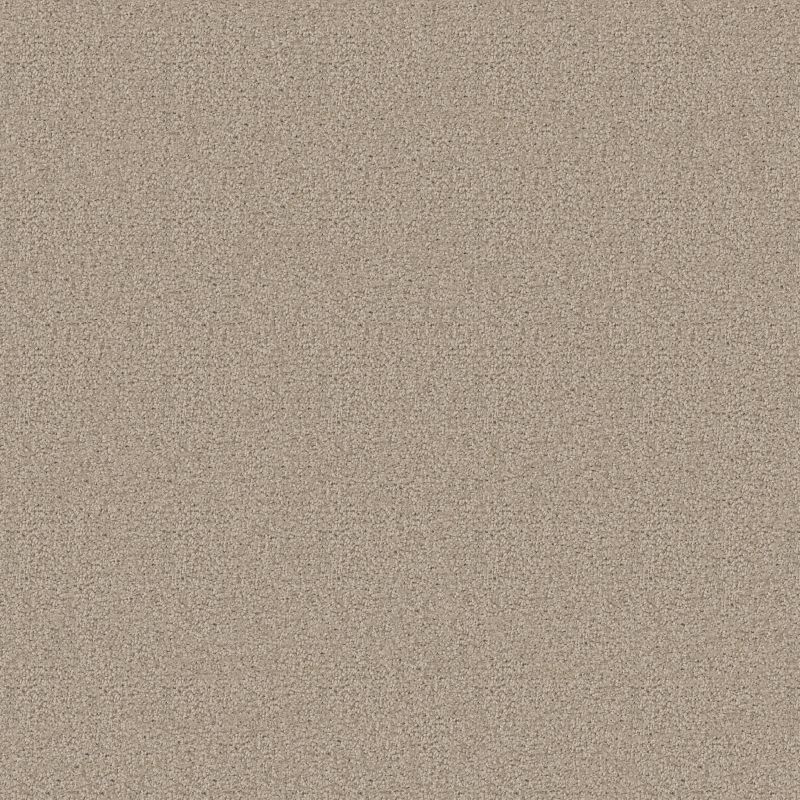 Cascade II Broadloom Carpet in Chipmunk color, 100% nylon, 12ft width, residential application