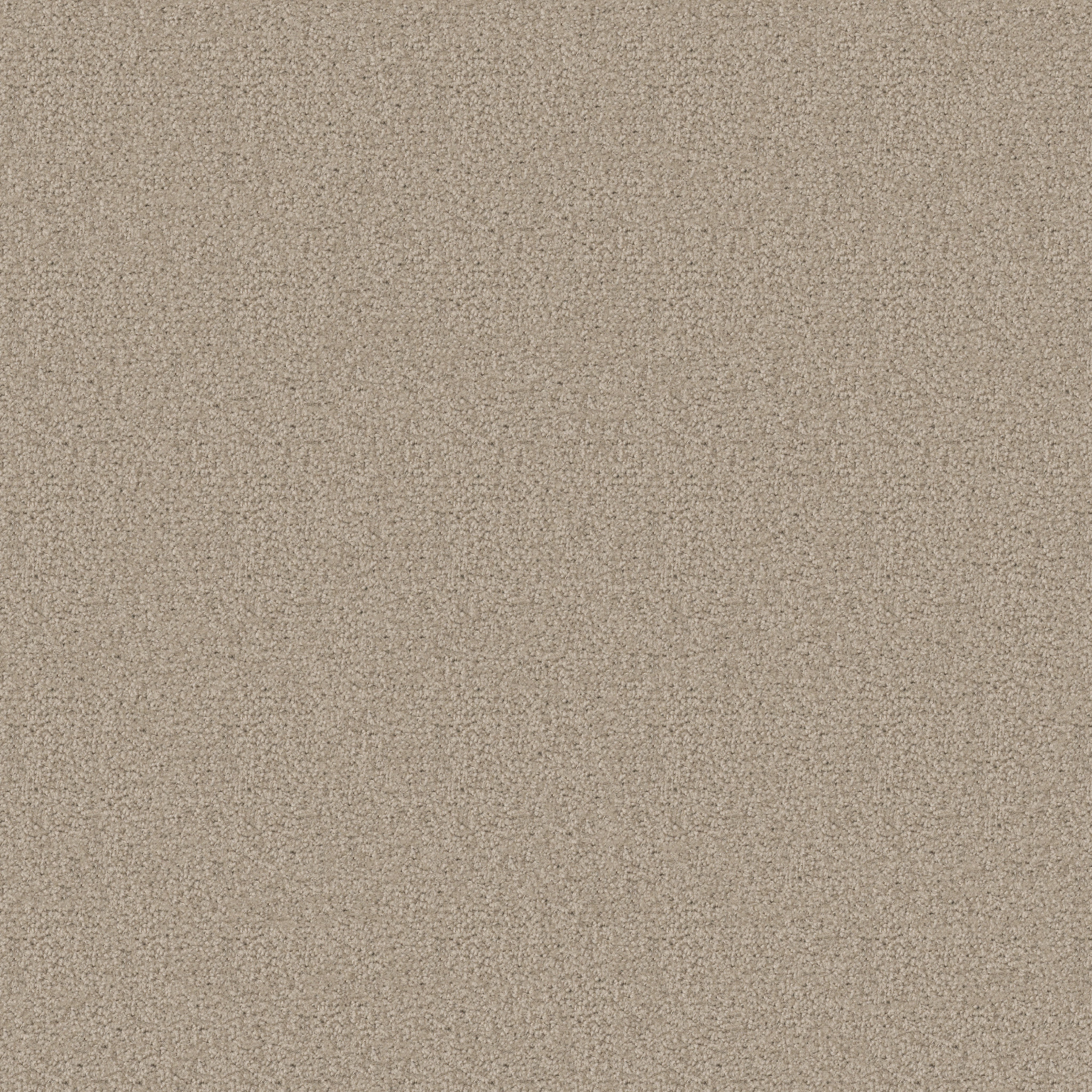 SPRINTER CHIPMUNK MAIN