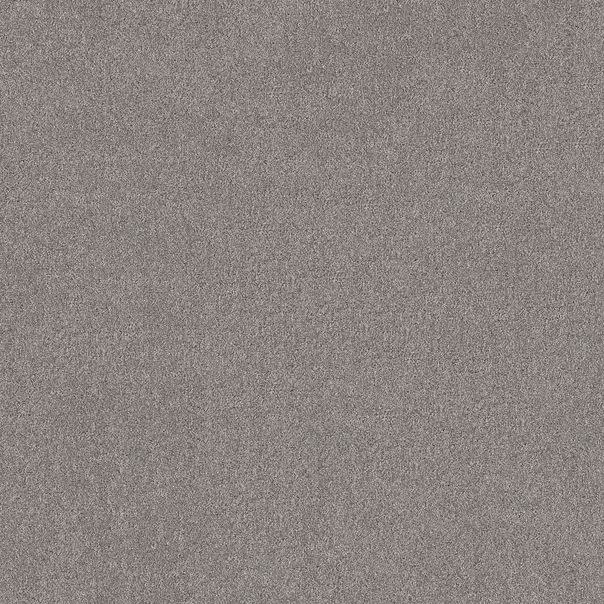 SECRET DESTINATION GRAPHIC MAIN