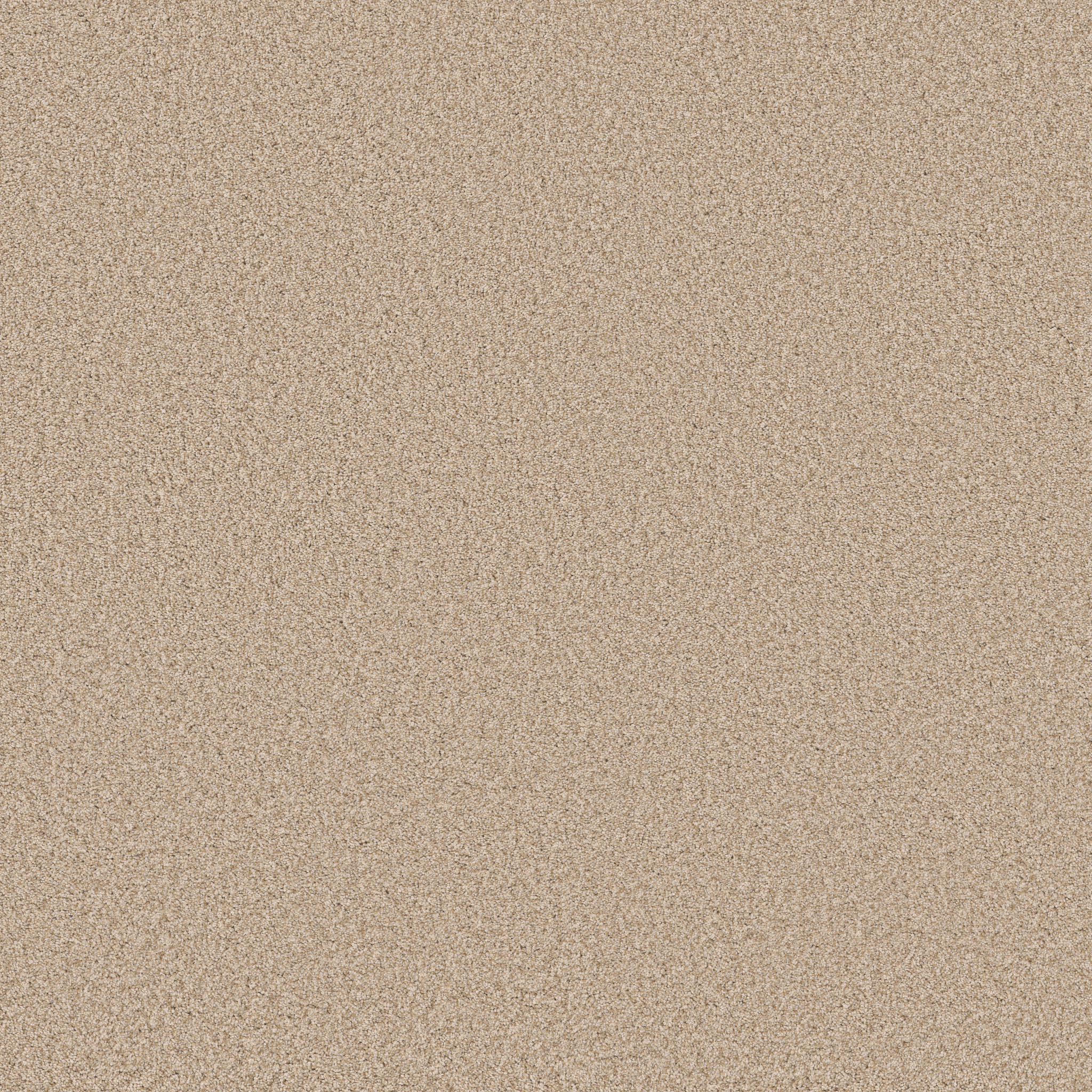 FABULOUS DOWN HOME MAIN