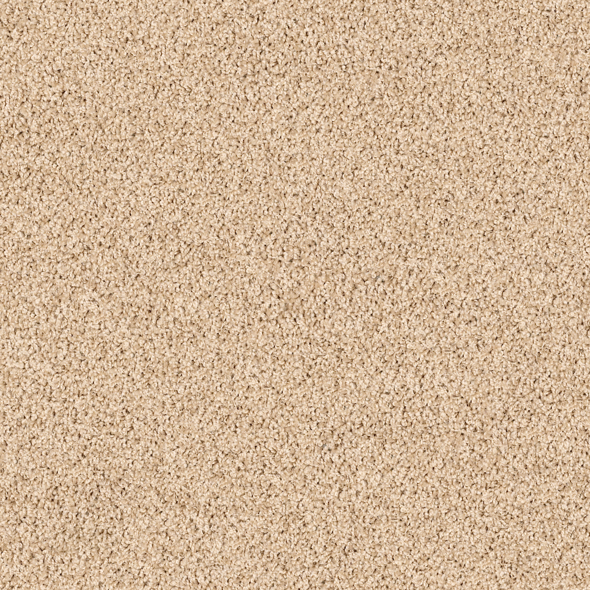 LONESTAR COFFEE MAIN