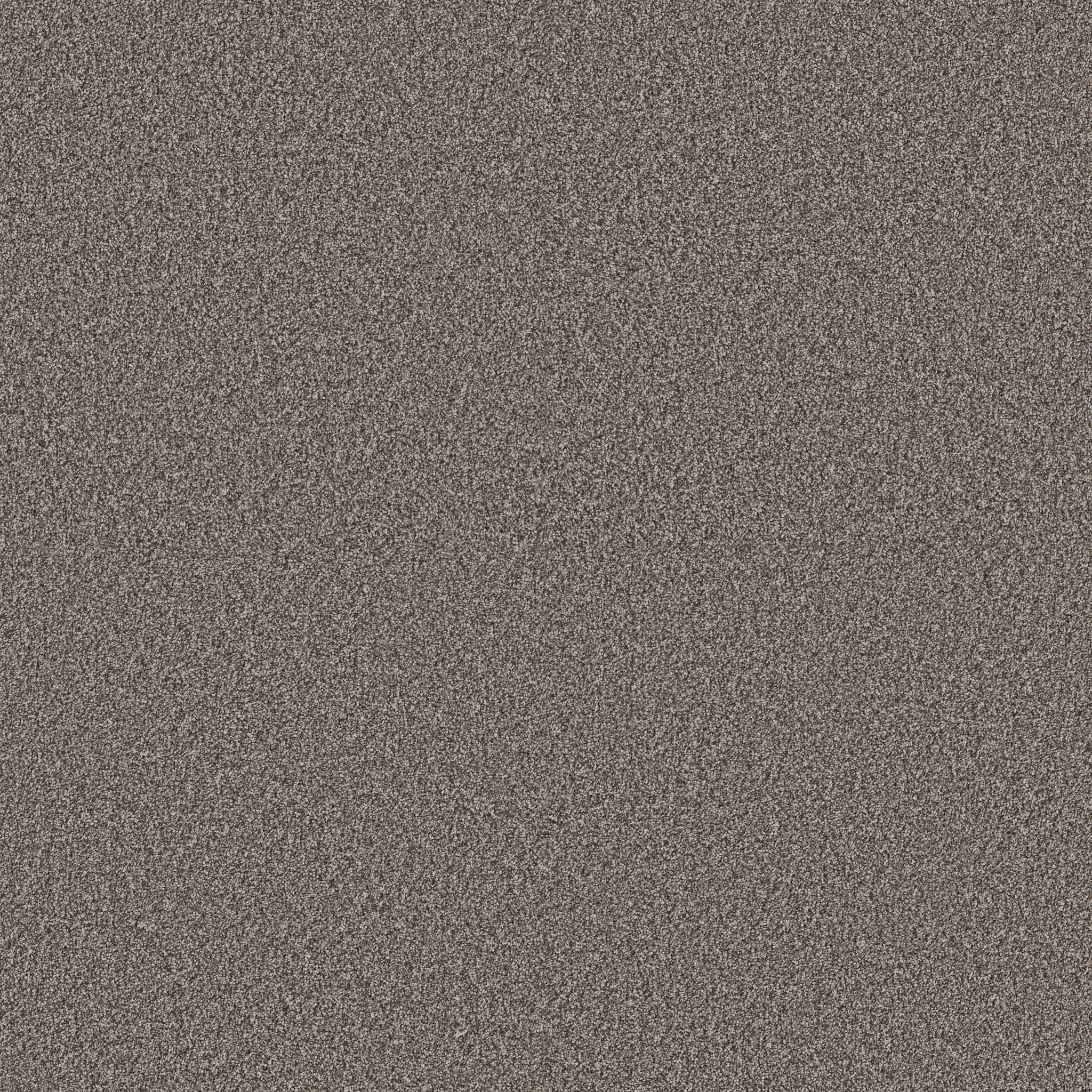 ARTISTIC FUSION II ASHES MAIN