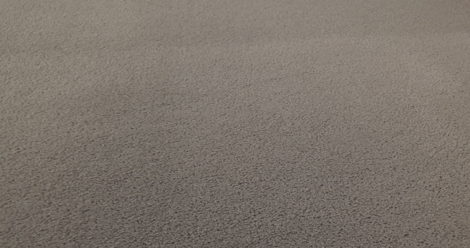 FINERY MUSHROOM 360PROD