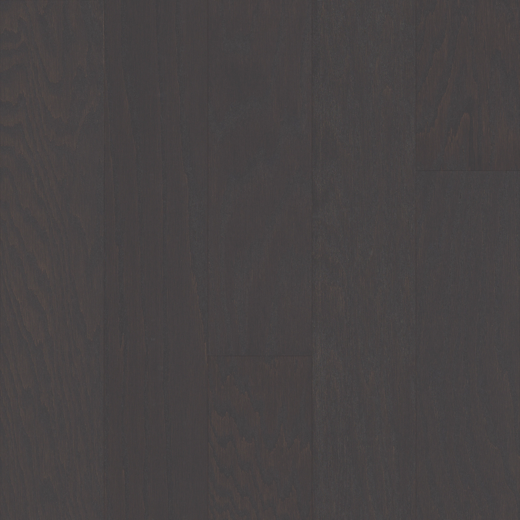 ARDEN OAK 5 CHARCOAL MAIN