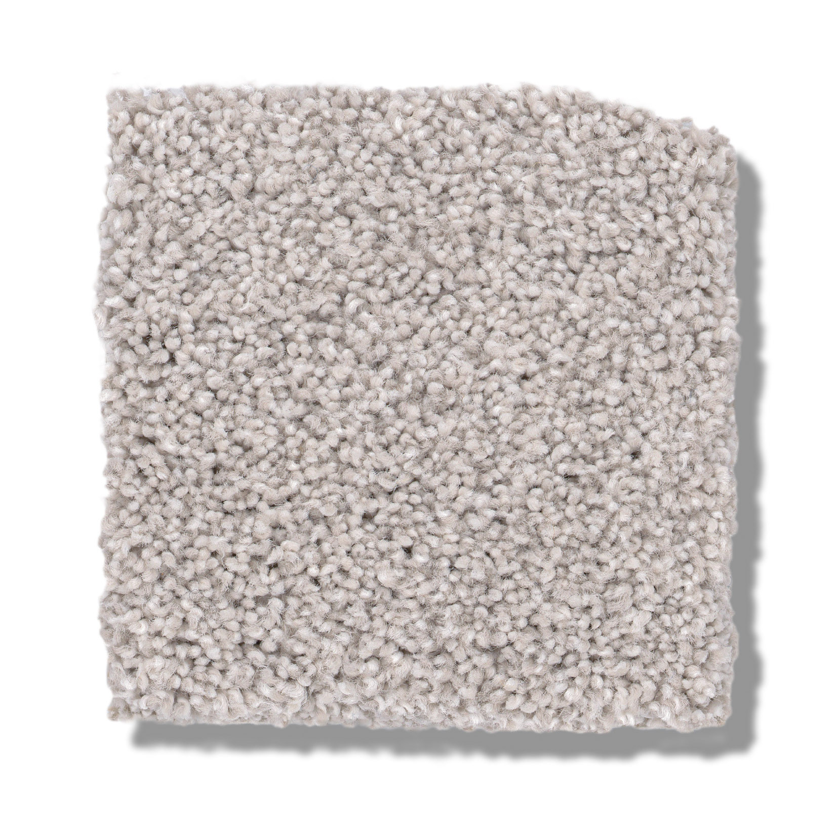 COZY HARBOR I MINIMAL SWATCH