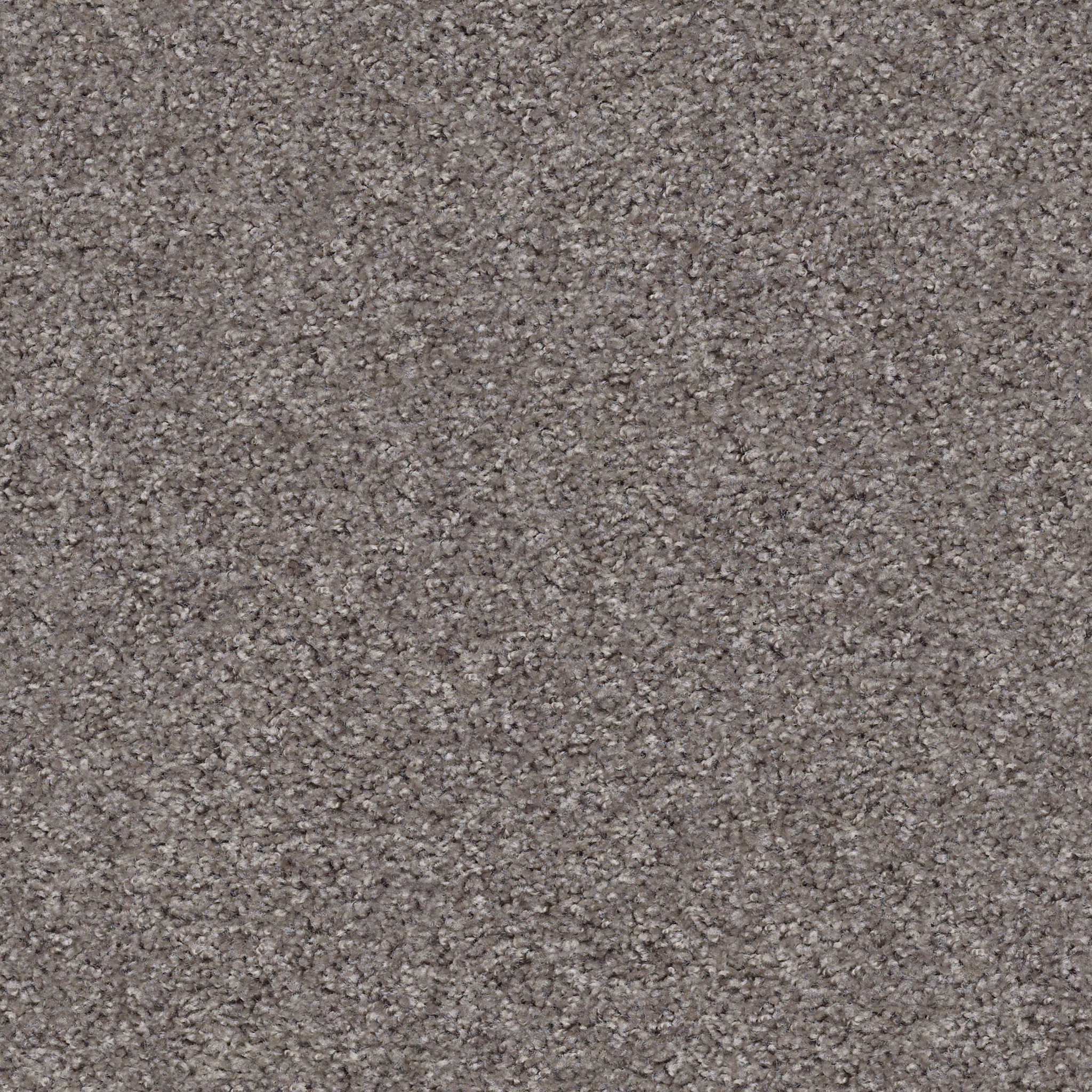 VALIANT HIMALAYAN TREK MAIN