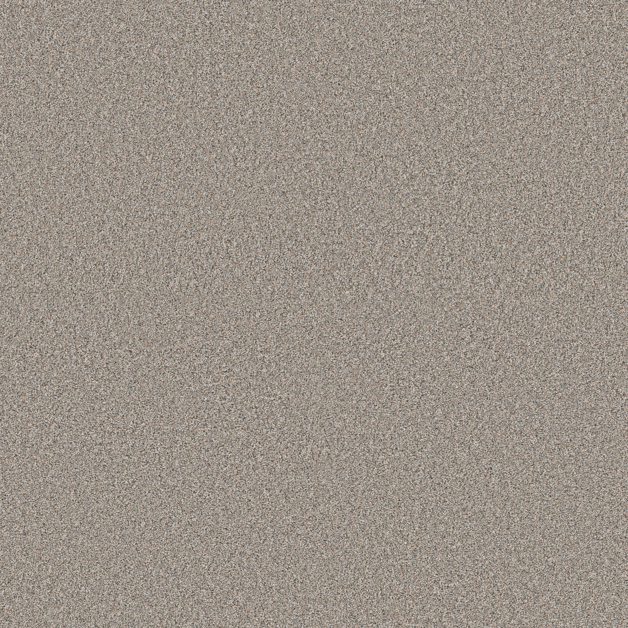 TIMELESS TONE LATTE MAIN