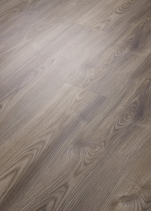 Grey Chestnut