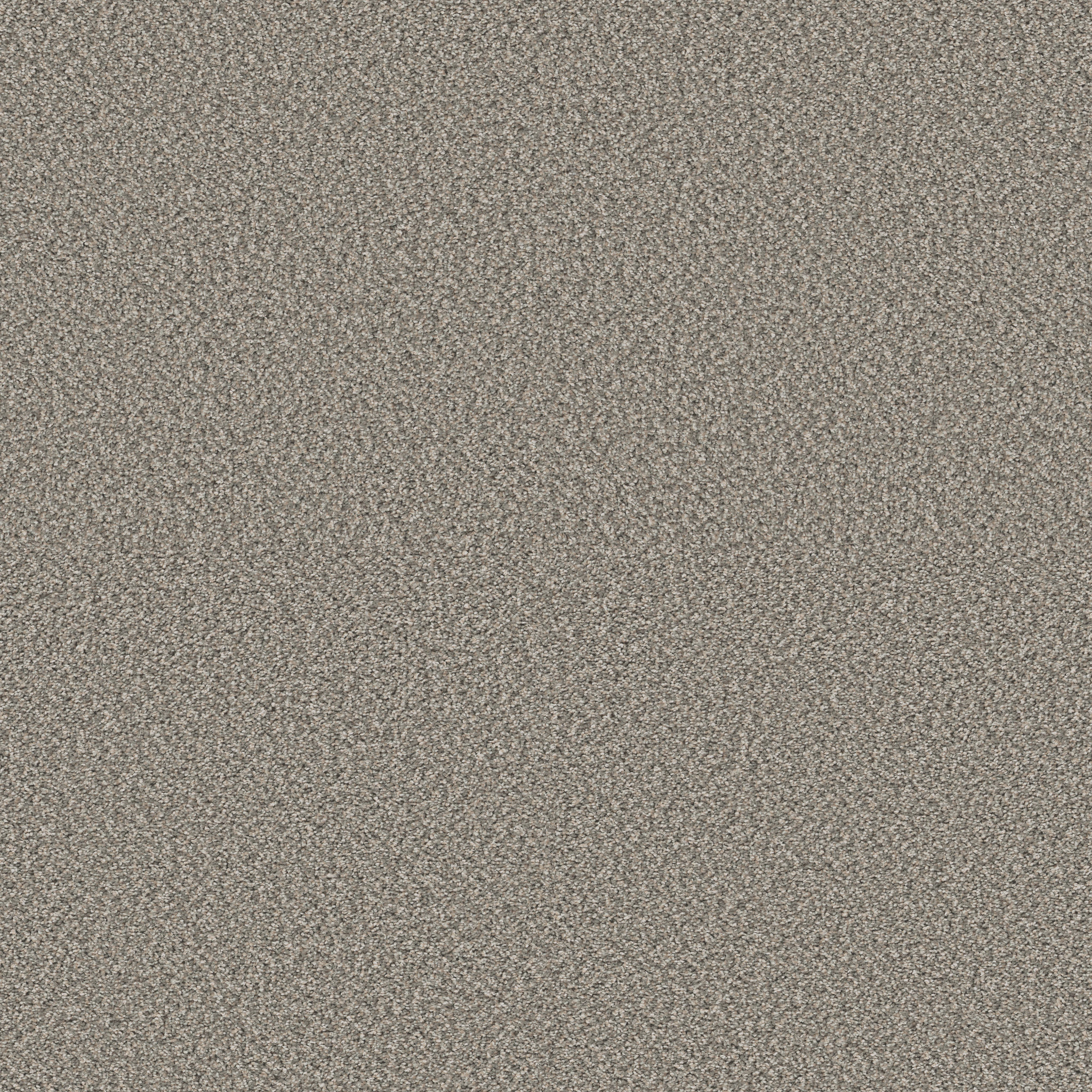 HIGH RANKING B SHALLOW WATER MAIN