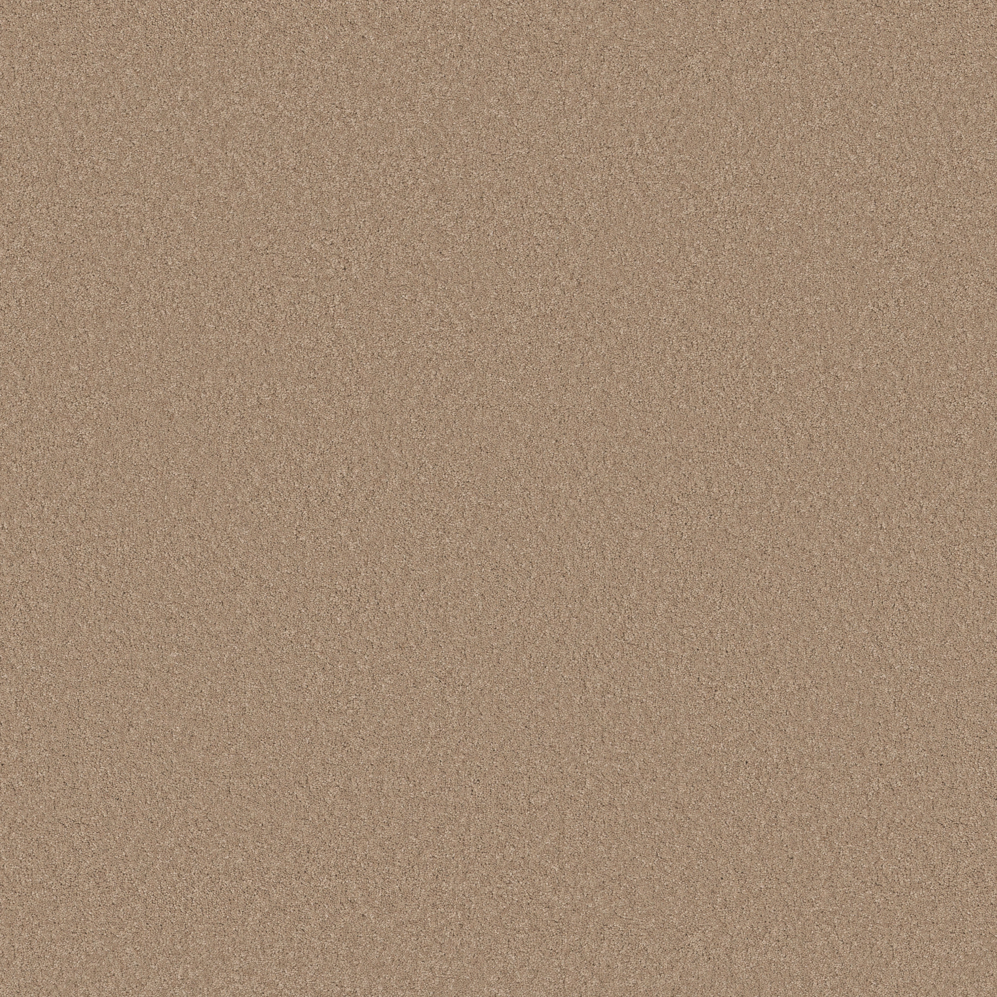 ENDURING CHARM WARM SAND MAIN