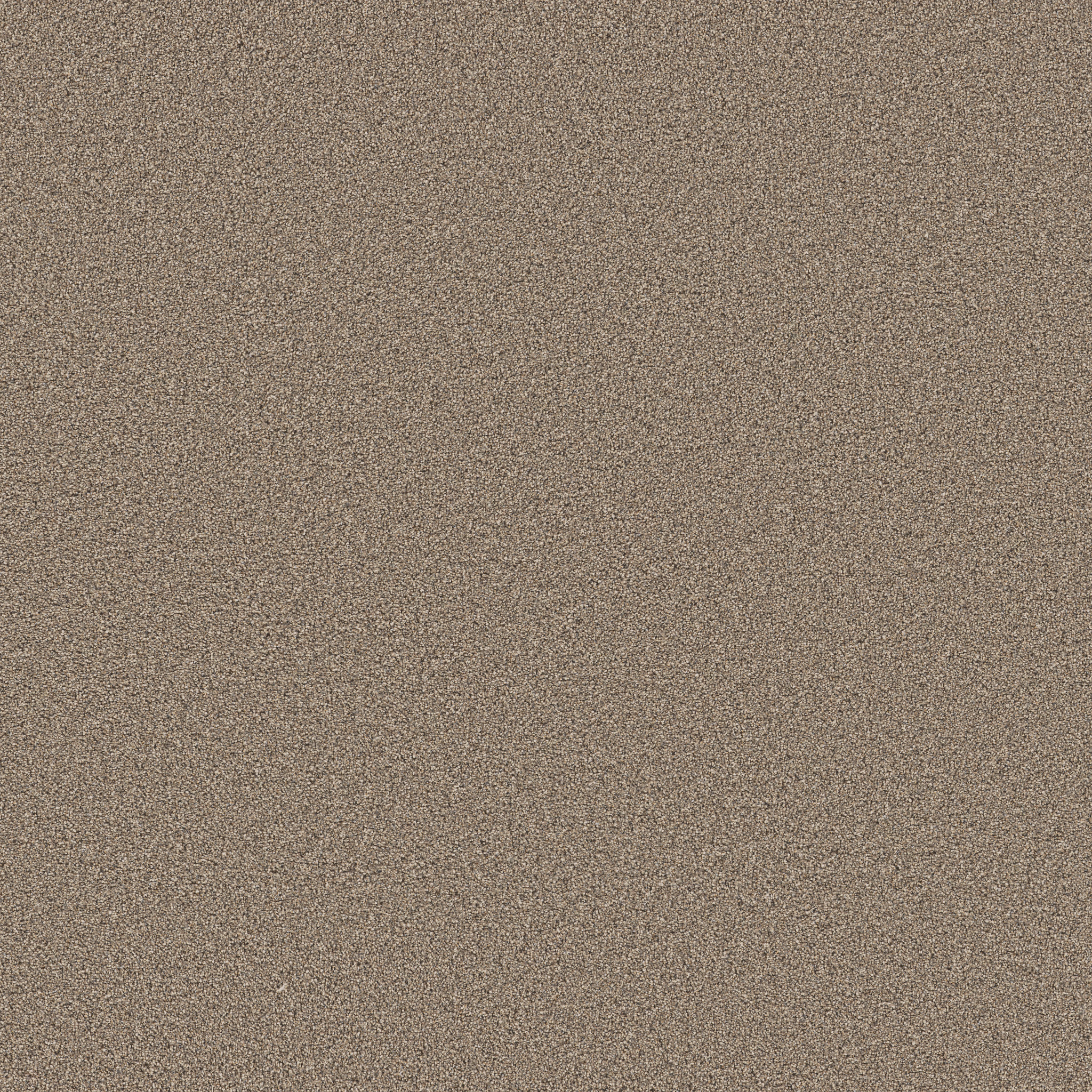 GRAND INFLUENCE III SUMMER STRAW MAIN