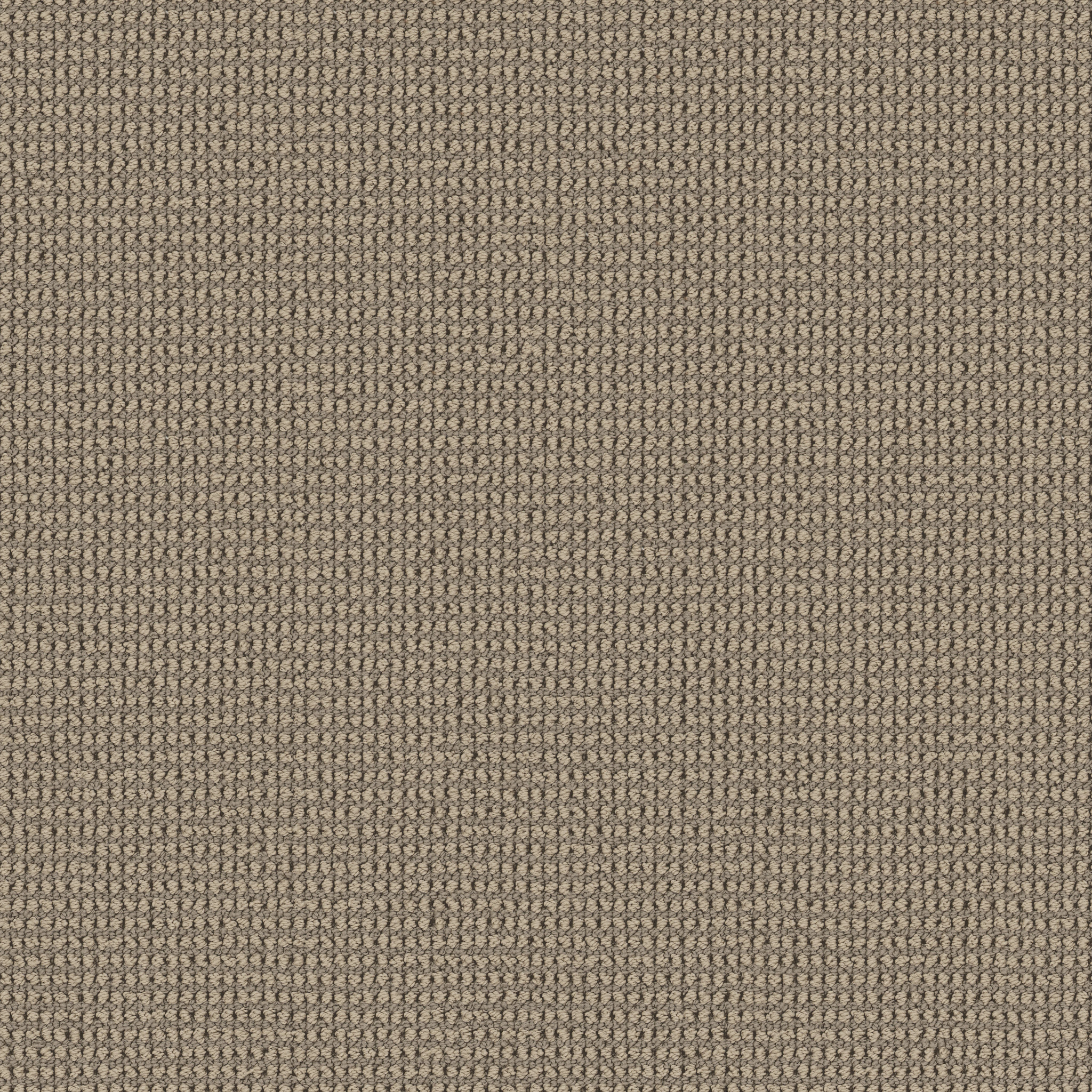 KNITTED TONE LATTE MAIN