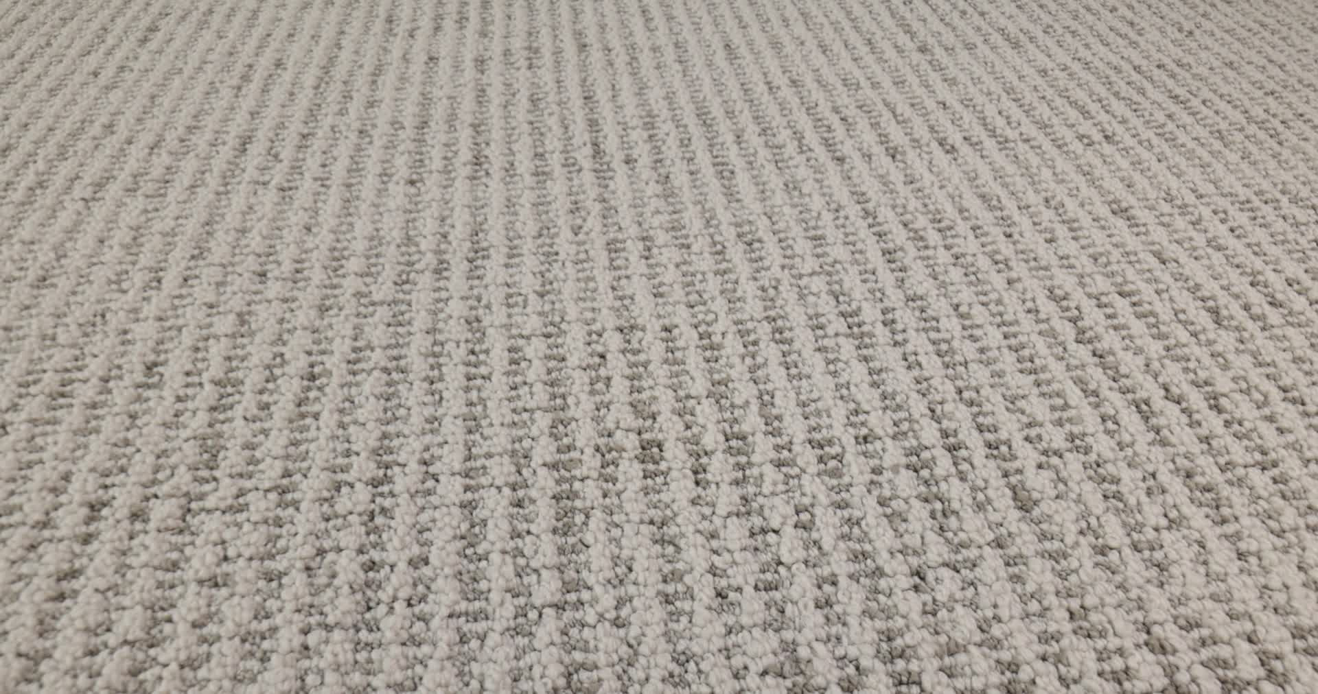 LAINE SEAGULL 360PROD