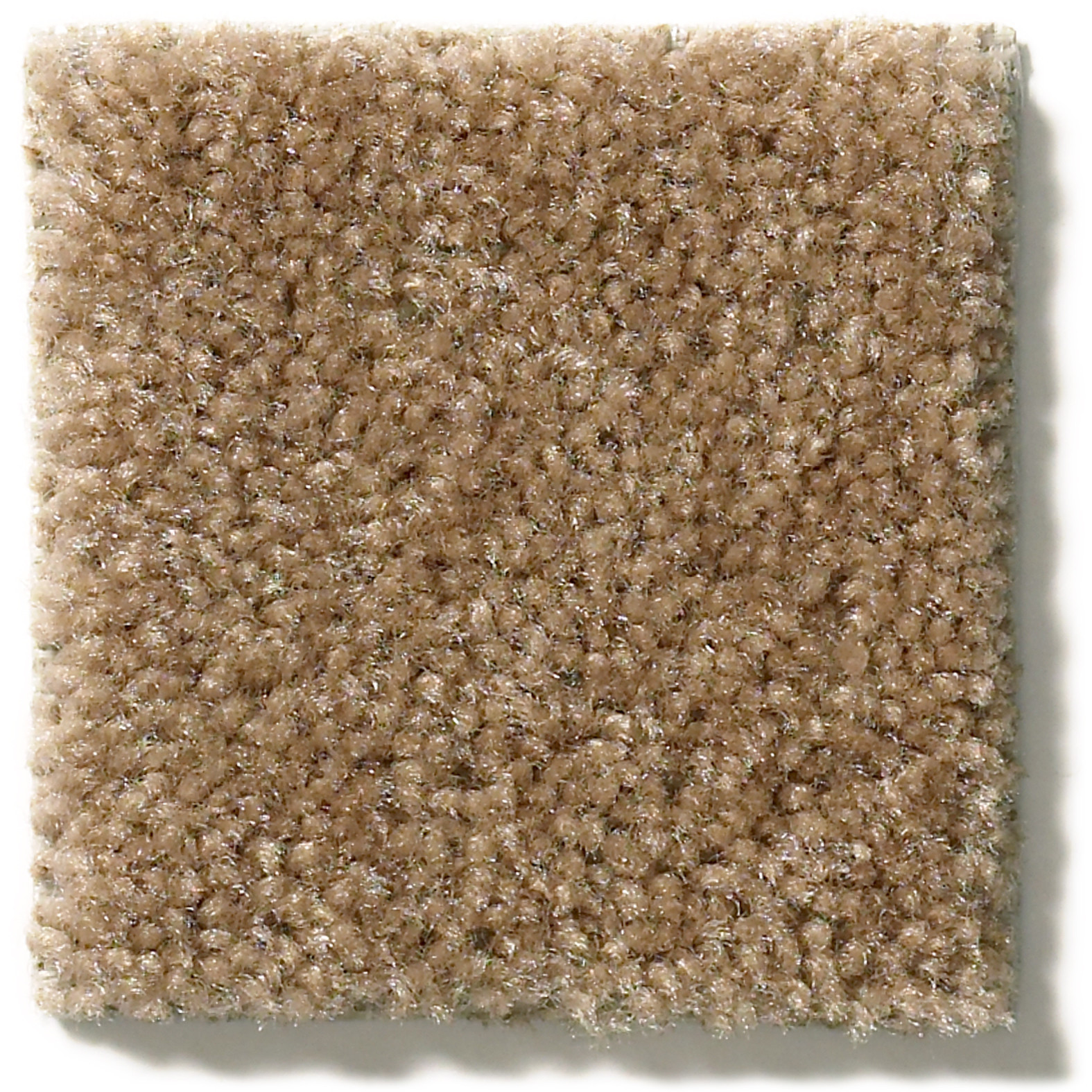 SPRINTER DOWN HOME SWATCH