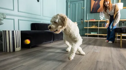 Coretec Mineral Core Residential LVP Flooring - Durable and Pet Friendly Luxury vinyl plank flooring in a modern living room with a playful dog and a woman, featuring Coretec Mineral Core construction, 47.64x7.6 inch dimensions