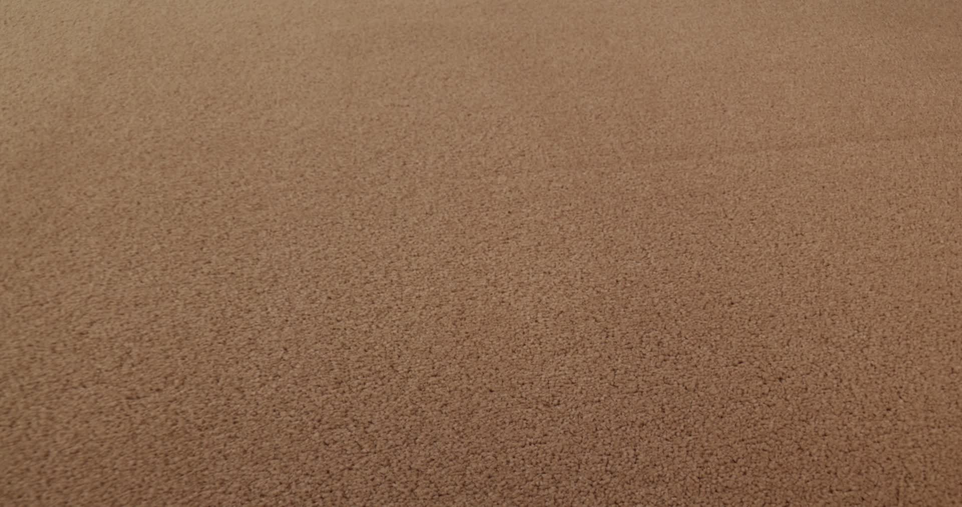 FINERY CAMEL 360PROD