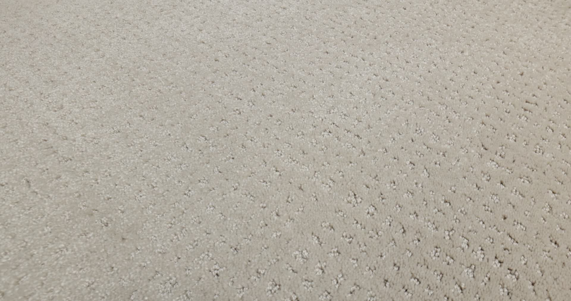 Vivid Memories - My Haven Carpet | Shaw Floors