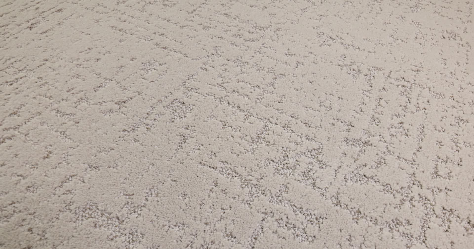 SINCERE FOCUS DREAMY BEIGE 360PROD