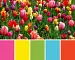 5 Spring-Inspired Colors to Refresh Your Next Design Project 5 Spring-Inspired Colors to Refresh Your Next Design Project - Zeftron Nylon 6