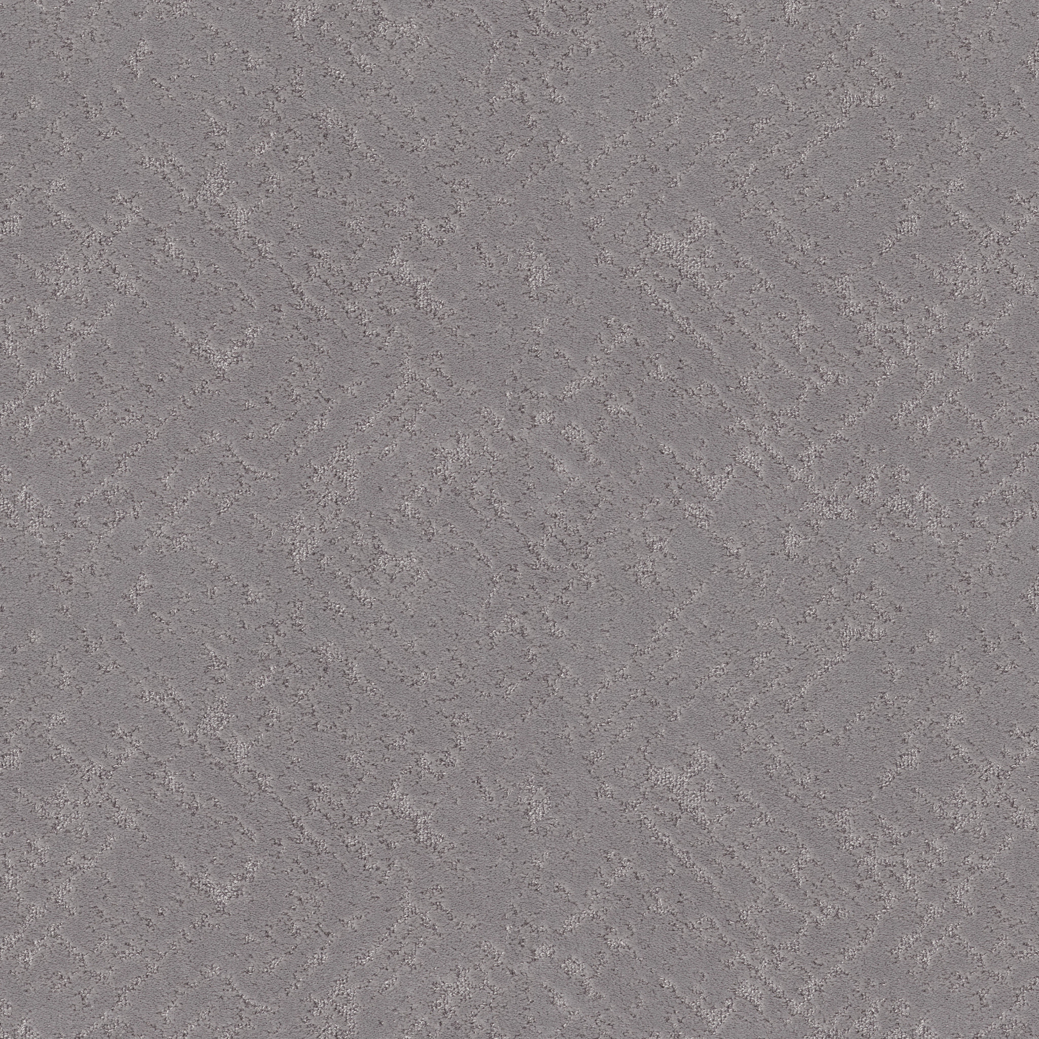 SINCERE FOCUS ANCHOR MAIN