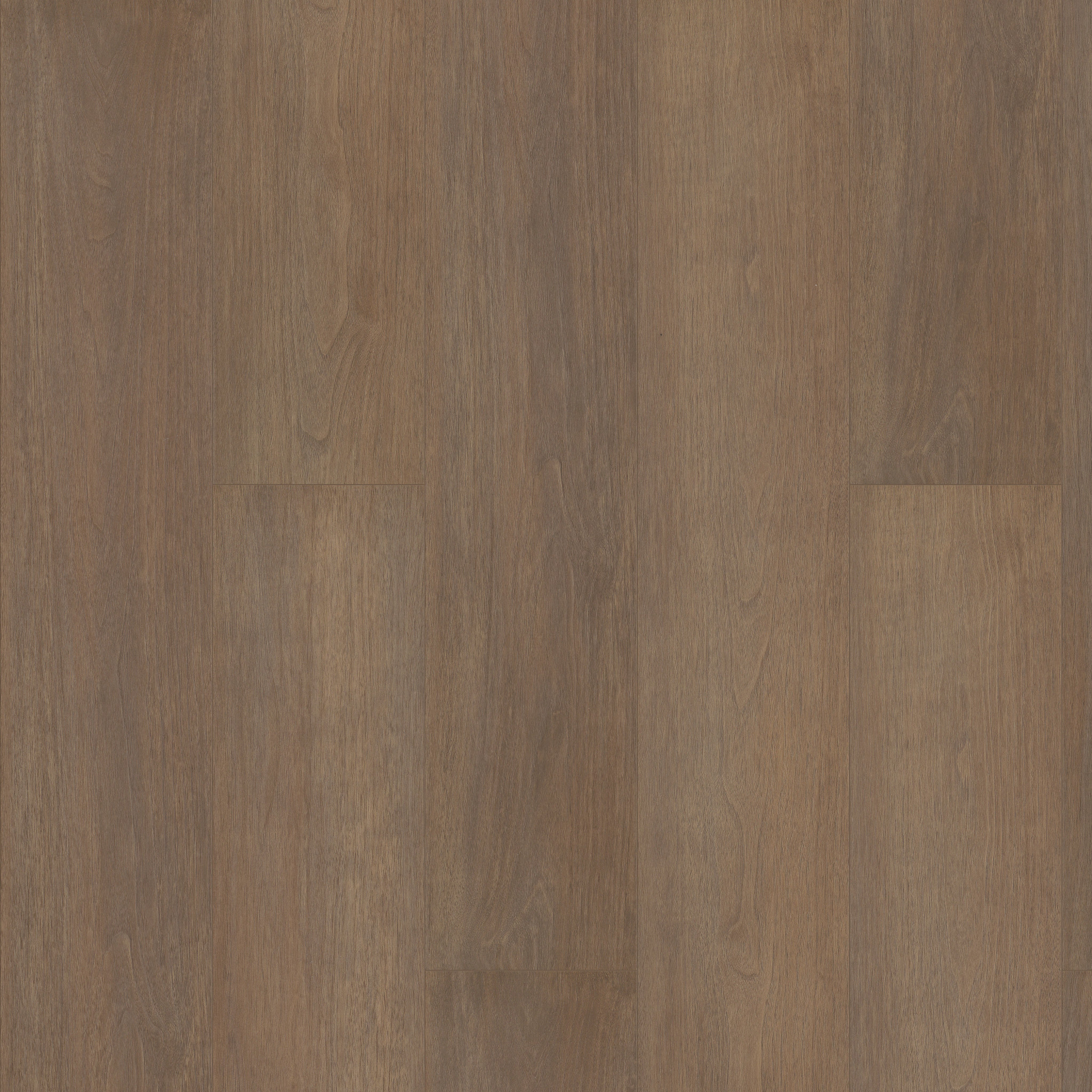 Paragon Hd+Natural Bevel - in Gable | Shaw Floors