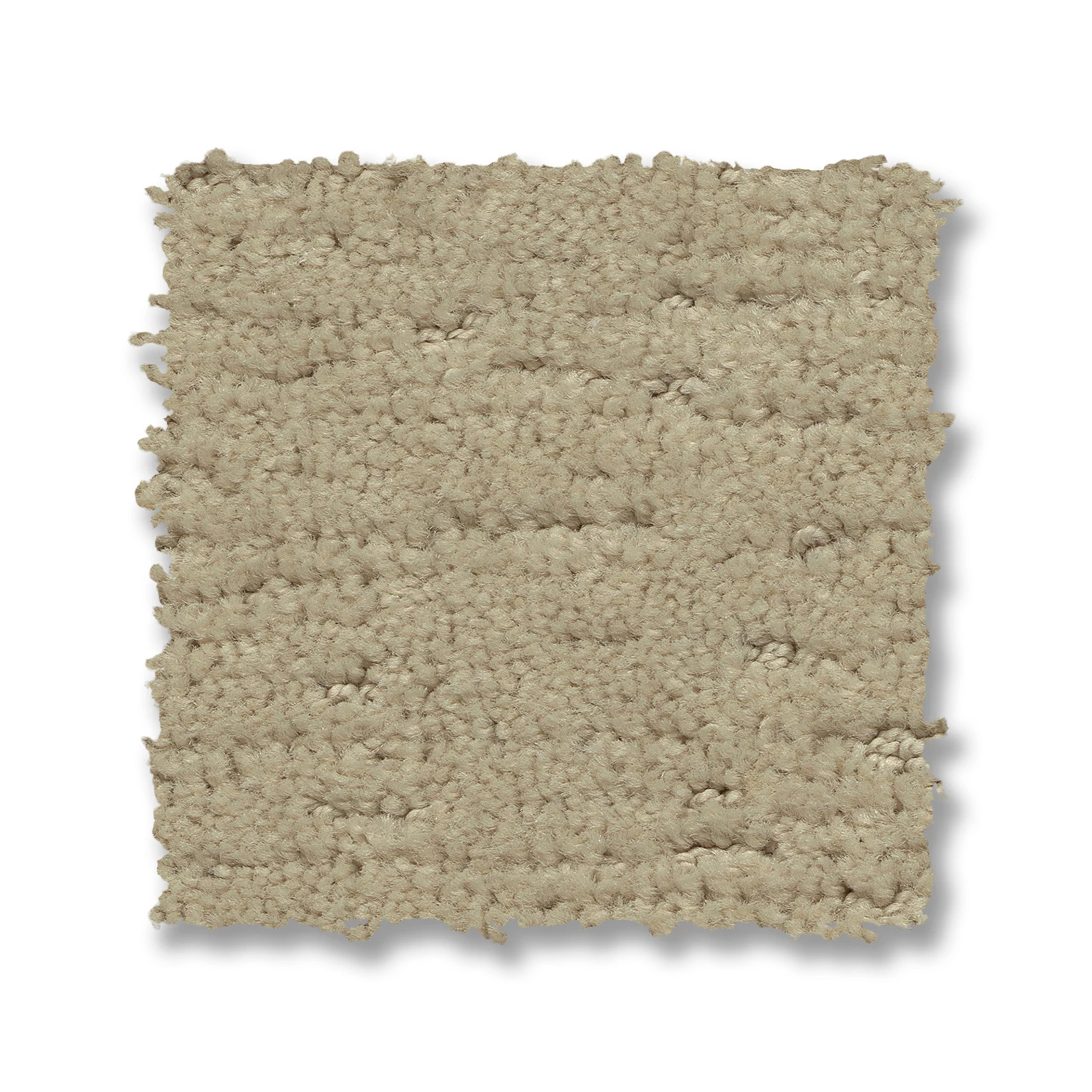 SKETCH BUNGALOW SWATCH