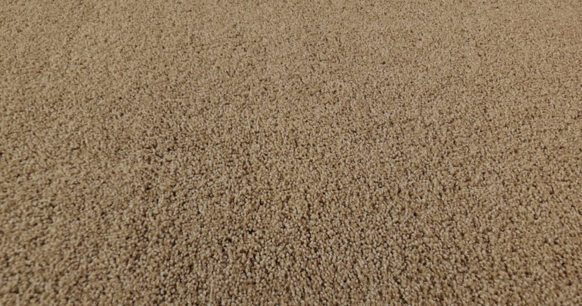 PARK HAVEN FARRO 360PROD