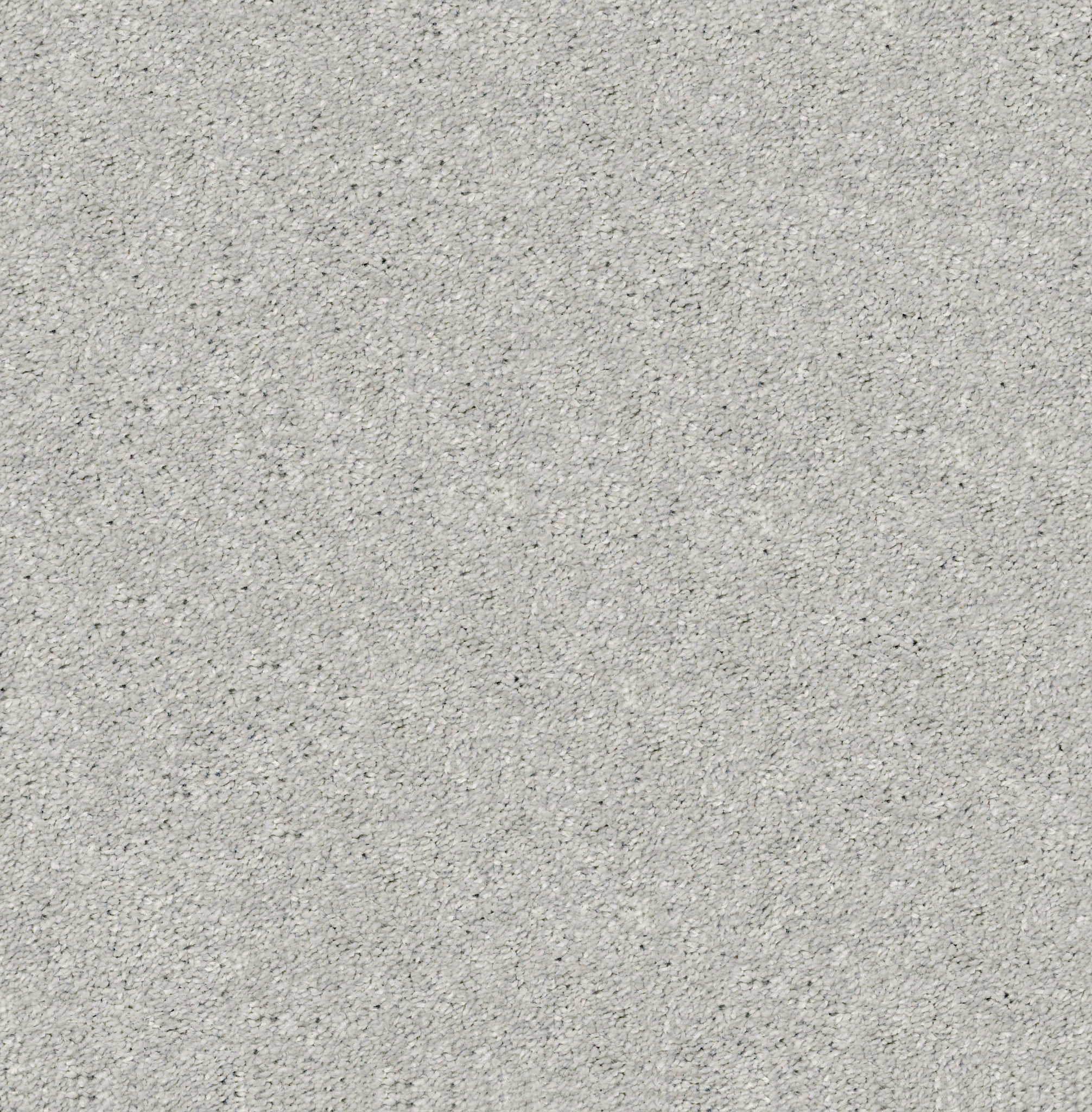 AG ALLURING CREATIVE MAIN