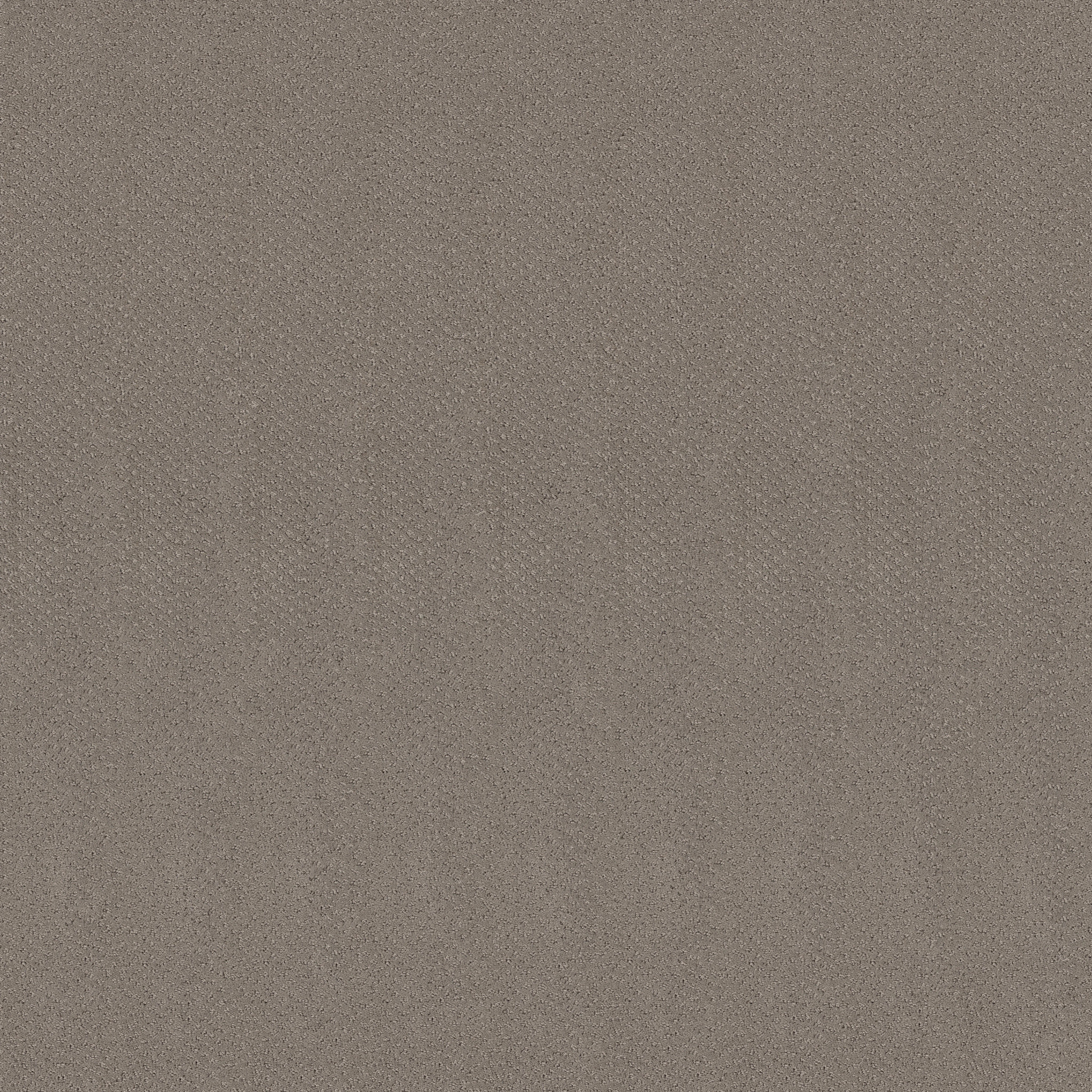 MAINSTAY RIVER RUN MAIN