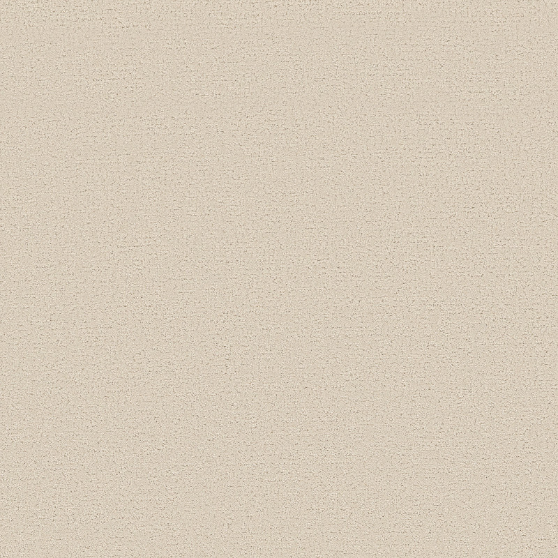 REFINED CANVAS by Shaw Floors